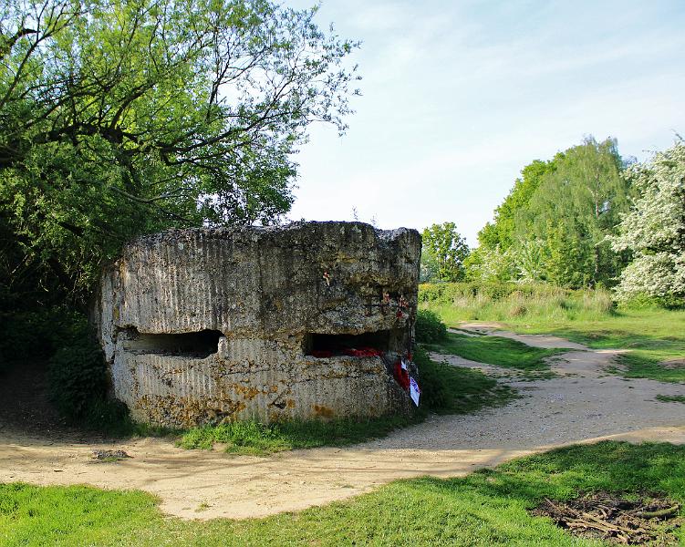 Herdenking WO 1 - (182).JPG